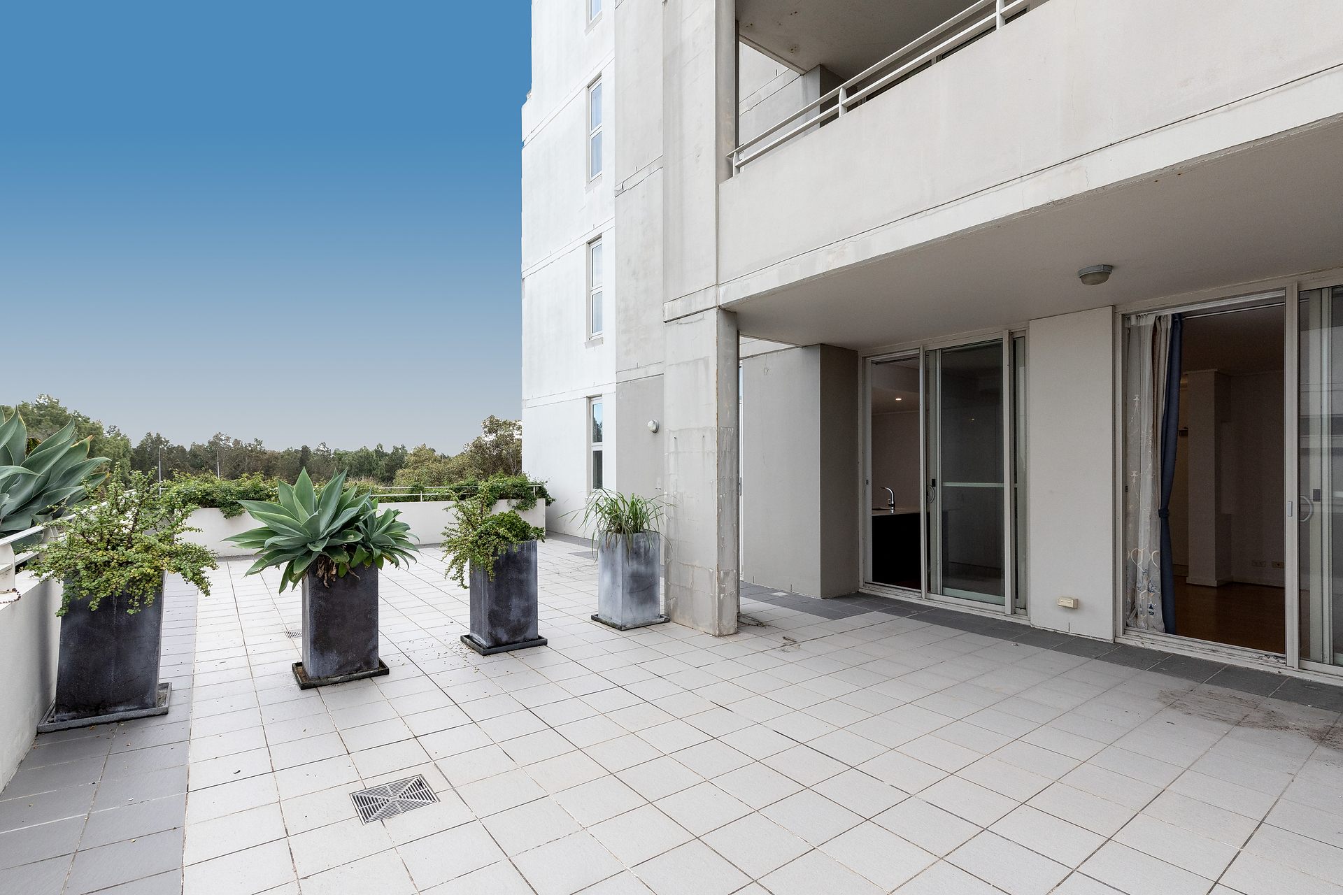 505/2 The Piazza, Wentworth Point Leased by The Gallery Real Estate - image 1