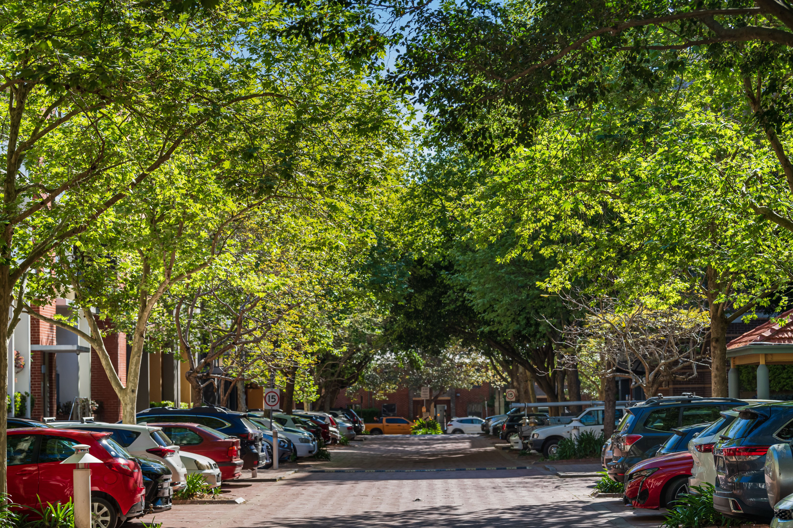 R404/780 Bourke Street, Redfern Leased by The Gallery Real Estate - image 8